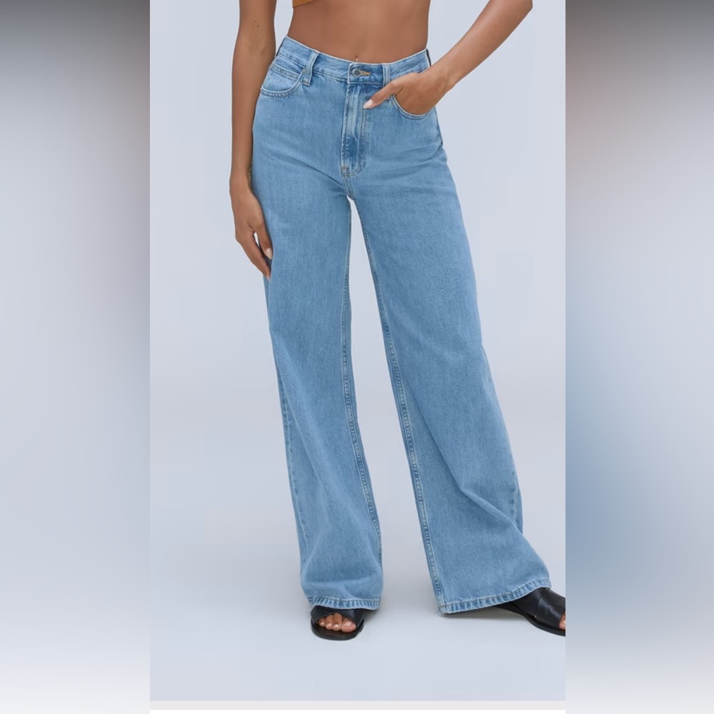 Everlane The Baggy Jean in Moraine Wash Size 27